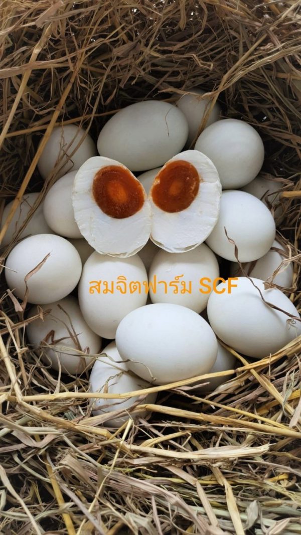 ไข่เค็ม - Image 4