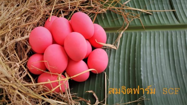 ไข่เยี่ยวม้า - Image 7