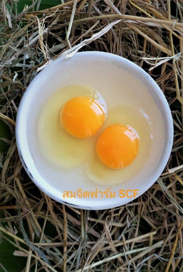 ไข่ไก่ - Image 5